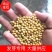 【精品】黄豆优质，发芽专用，现货供应。