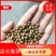 【精选】一号麻豌豆，芽苗菜专用，大量供应