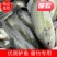 鲈鱼：垂钓专用，开口好！质量保证，价格优惠，塘口一手货源