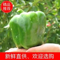 【精品】甜椒，产地直销，物美价廉，欢迎选购！