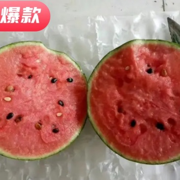 超越梦想西瓜，，超越梦想西瓜早春红玉西瓜，精品甜王便宜了
