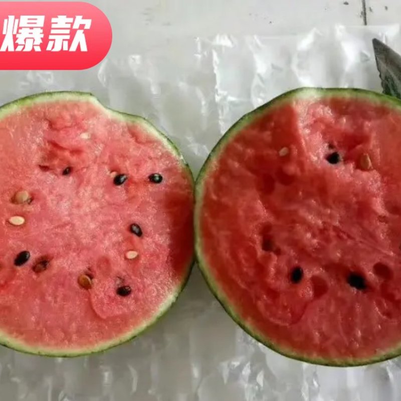 超越梦想西瓜，，超越梦想西瓜早春红玉西瓜，精品甜王便宜了