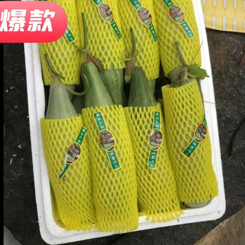 潍坊羊角蜜甜瓜大量上市了，口感好电商货，市场货，货源充足