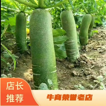 萝卜果蔬脆加工厂产地直供，价格便宜