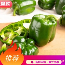 【牛商优选】圆椒，一手货源，货量充足，量大从优，欢迎来电咨询
