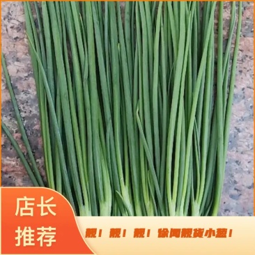 徐闻县基地特靓精品小香葱，诚信经营，全国代发。