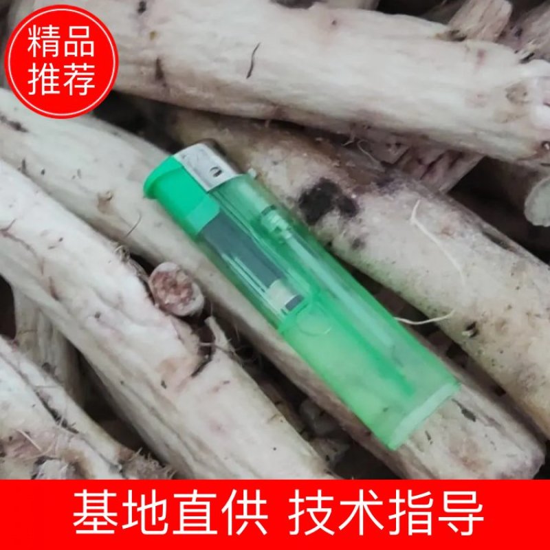 白芍个子出售，各种规格都有，无硫烘干，产地直销，无狗眼