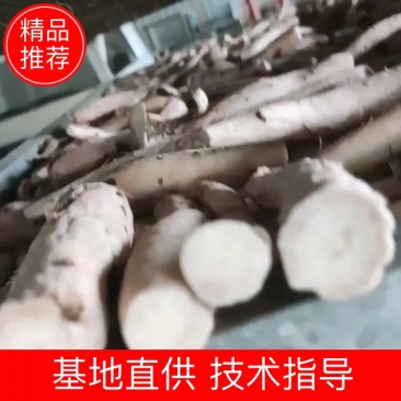 白芍个子出售，各种规格都有，无硫烘干，产地直销，无狗眼