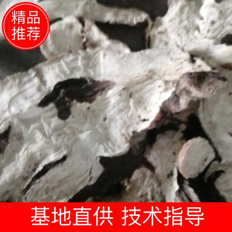 产地直销，熟白芍狗头片，无流烘干，产地河南商丘市虞城县