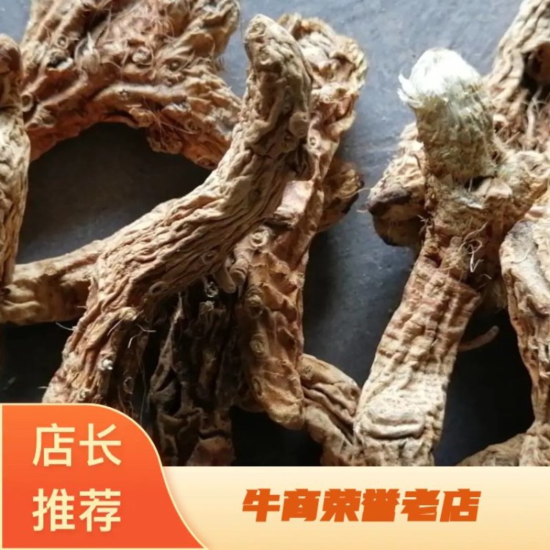 大量收购鲜知母，两年以上的，产地不现，有货的请予我连系