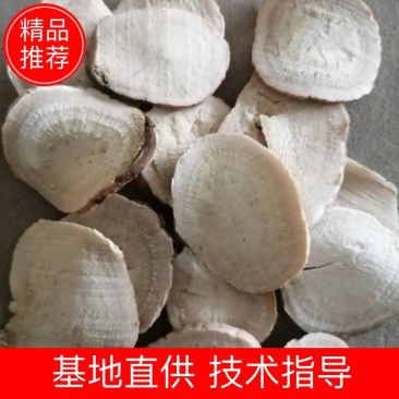 无流白芍片，各种规格，产地直销，产地：商丘市虞城县大候乡