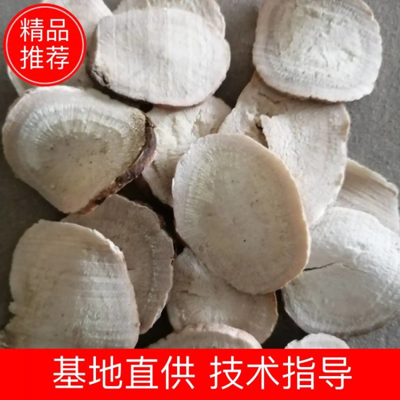 无流白芍片，各种规格，产地直销，产地：商丘市虞城县大候乡