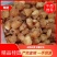 桂圆，桂圆肉，龙眼肉，龙眼干，干桂圆量大从优