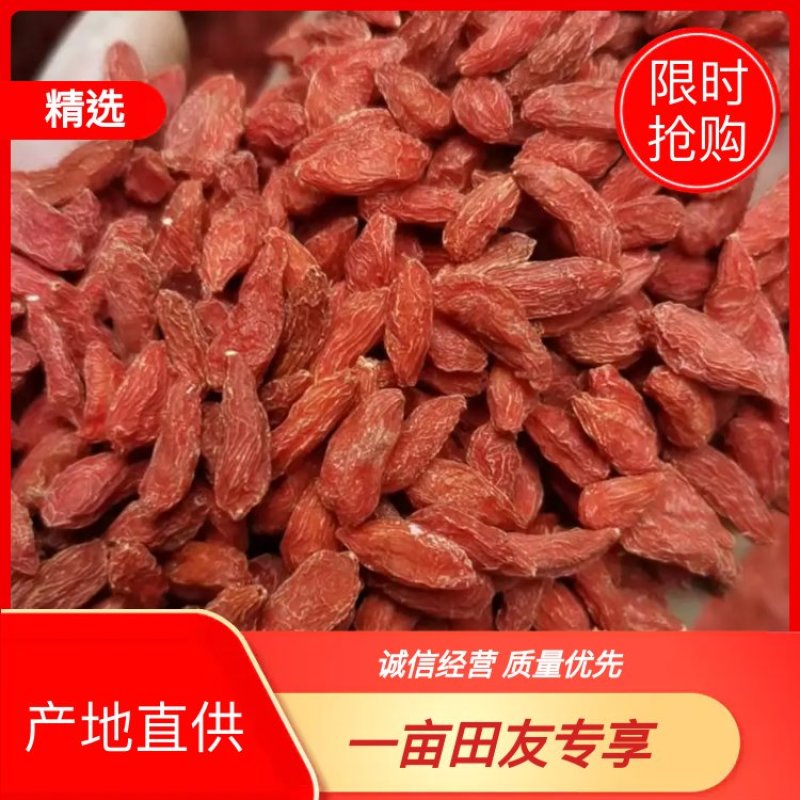 红枸杞宁夏红枸杞大量上市无添加，无熏染产地直供