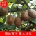 【精品】徐香猕猴桃大量上市支持视频货源充足承接各平台