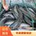 黑鱼品质保证，垂钓专用，价格优惠，可长期供货
