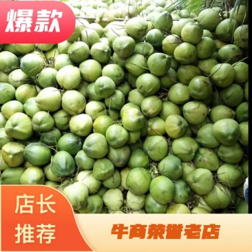 【有好货】海南椰子应当季新鲜椰皇水果保质保量全国发货