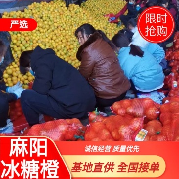 麻阳高山冰糖橙火热上市欢迎各大实体电商微商社区前来订