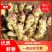 [鲜姜]山东鲜姜大黄姜基地价格便宜，质量保证全国发货