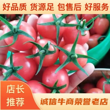 广西圣女果千喜诚信常年供应超市精品电商现发货代办代发