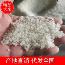 【大米】一品香大米、东北珍珠大米、贡米产地直发