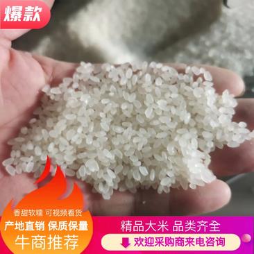 【大米】优质大米：一品香大米、东北珍珠大米、贡米