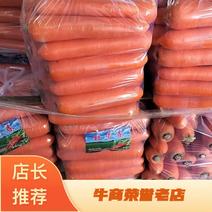 胡萝卜专做精品货，水洗一条龙服务可以精加工包地块