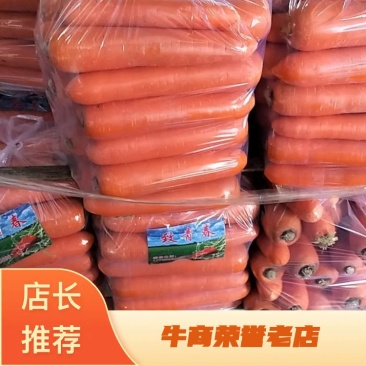 三红胡萝卜。大量供应。产地直发。电商。商超。出口贸易。