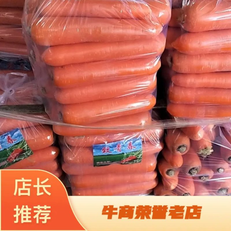 三红胡萝卜。大量供应。产地直发。电商。商超。出口贸易。