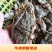 花蟹，母蟹红蟹刚上岸断气大中小花蟹，肉质肥满鲜美