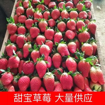 【荐】甜宝草莓平度甜宝草莓产地直供种植基地电联