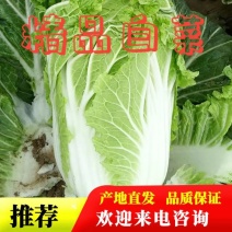 精品开封大白菜，货源充足，产地直发，价格，全国发货，