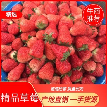草莓上市。接电商社区团购，各种品种都有。各种精美包装