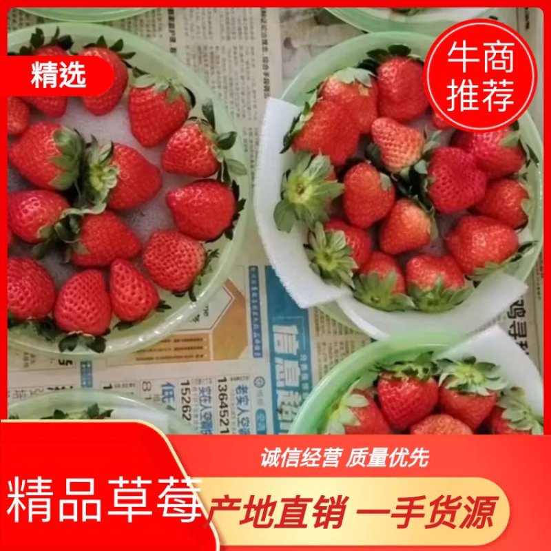 新鲜奶油草莓大量上市。产地直销货量充足，保质保量！