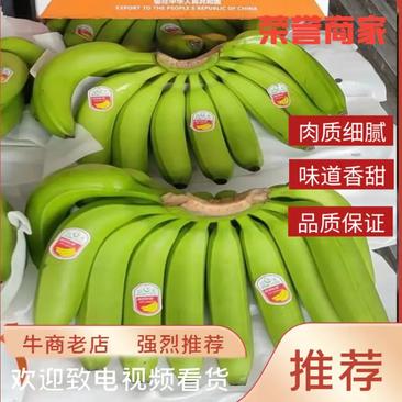 【现货供应】菲律宾、越南香蕉，大量上货中，发全国