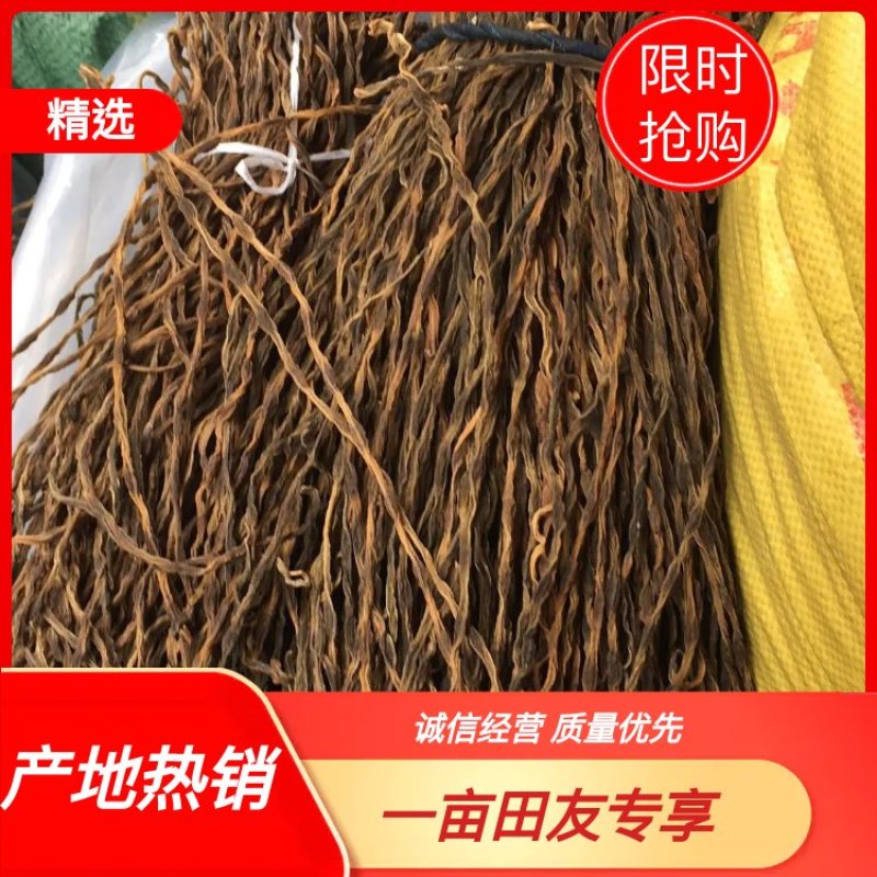 干豆角/精品干豆角质量保证全国发货量大从优