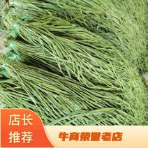 【精品】苔菜质量保证全国发货量大从优规格齐全