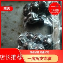 上市中，可长期稳定供货！！苹果梨精品冻梨各个等级都有！