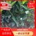 鸡尾葡萄柚，又称黄葡萄柚，甜葡萄柚