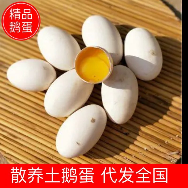【鹅蛋】新鲜土鹅蛋农家散养去胎毒【商超品质】