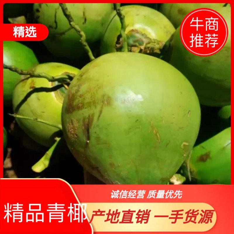 海南精品椰青，实力厂家供应。诚信经营。欢迎选购。