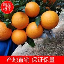 【橙子】广西蜜香橙产地直销皮薄多汁【商超品质】欢迎选购