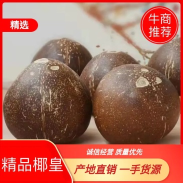 海南精品椰皇，口感甜美，产地直销，一手货源。