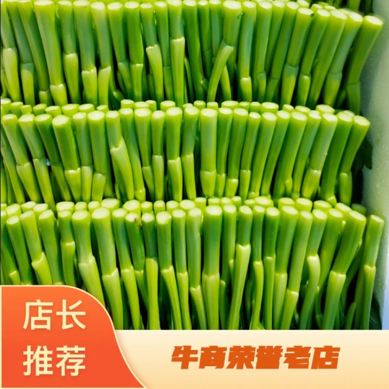 精品湖北菜台甜菜心广东菜心基地长年有货物美价廉