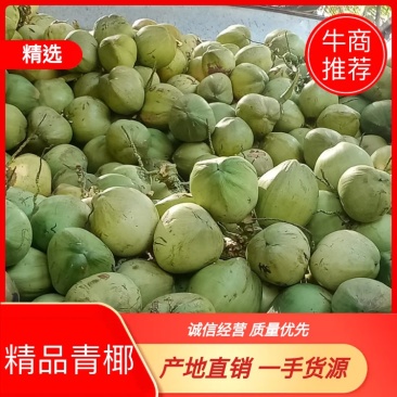 海南精品椰青，正宗海南文昌椰青，厂家直销