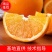 神秘湘西高山大雾脐橙华丽上市，对接全国档口批发商量大从优