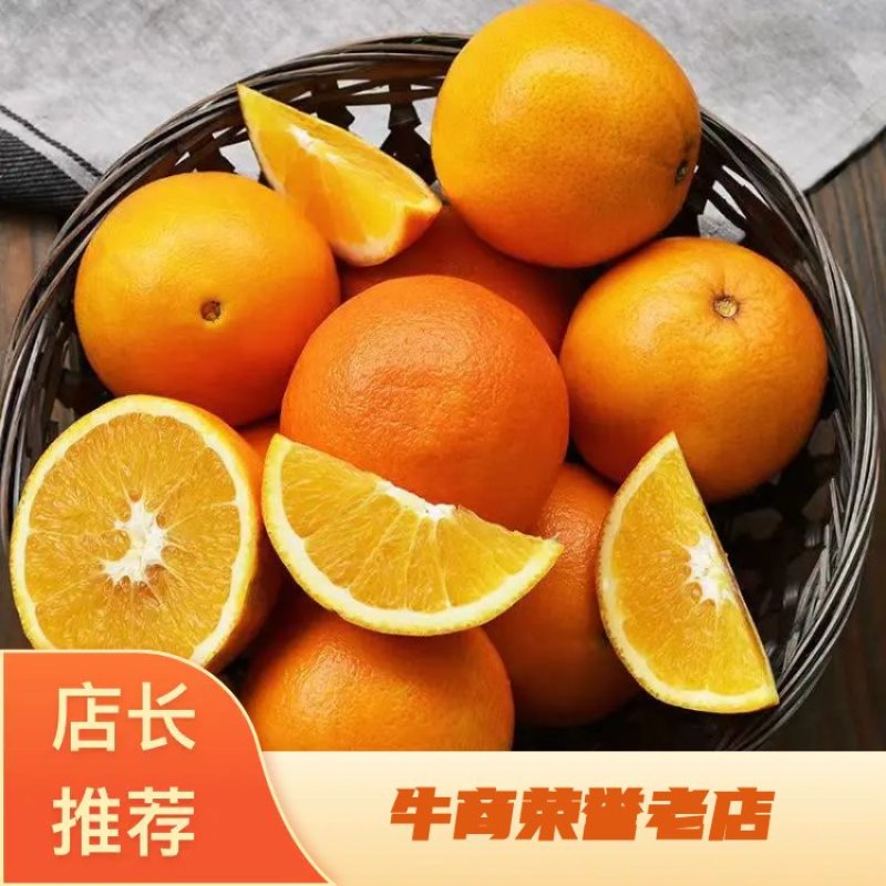晴空万里采脐橙，甜蜜香橙到您家对接电商一件代发欢迎采购