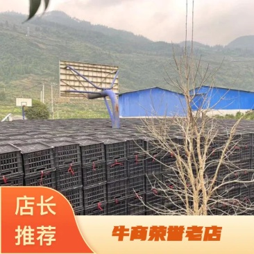 塑料筐厂家直销，质检保证货源充足，欢迎各位老板前来选购
