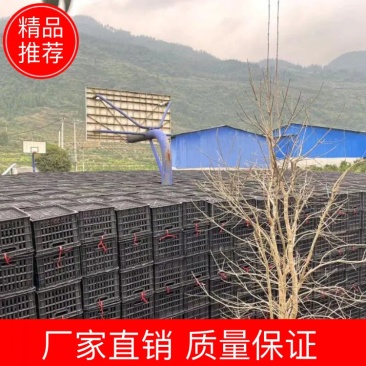 周转筐厂家直销，质量保证，量大从优，欢迎各位老板前来选购