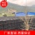 周转筐厂家直销，质量保证，量大从优，欢迎各位老板前来选购